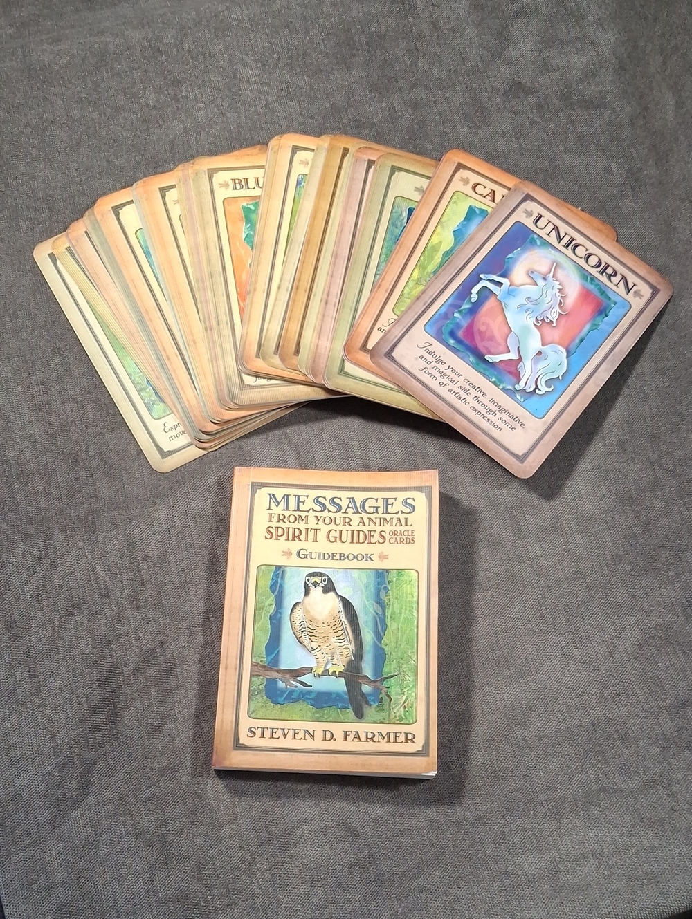 Animal Spirit Guide Oracle Deck + Guidebook by John D. Farmer VG PB *NO BOX*